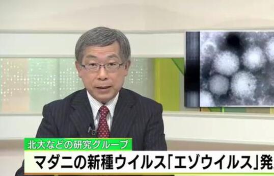 日本发现能传染人类新病毒